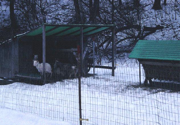 Photo: John. C. Porter, Extension Professor and Dairy Specialist, UNH Cooperative Extension