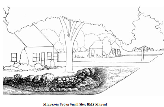 Line drawing of a rain garden