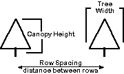 Diagram showing tree width, canopy height, and row spacing