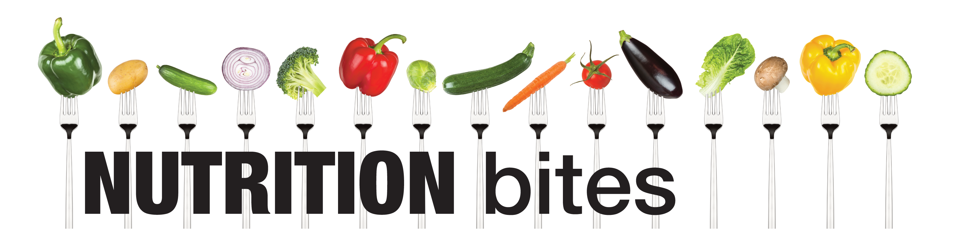 nutrition bites page banner