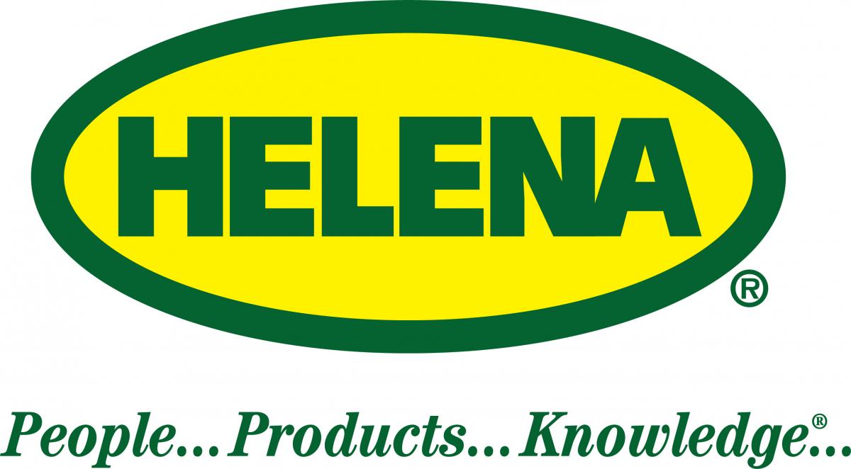 Helena logo