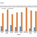 Percent Out of Bloom Graph