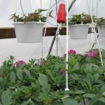 Drip Irrigation (photo: Tina Smith, UMass Extension)