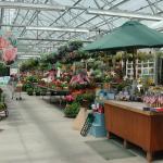 Retail greenhouse