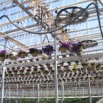 Figure 6. Hanging basket conveyor