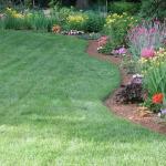 Flowering annual and perennial plants in June in MA