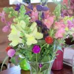 Flowers in clean container, clean water