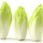 Endive