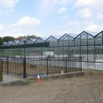 Gutter-connected greenhouse being built