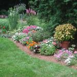 Flower garden with annuals and perennials in late July in MA