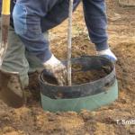 Nursery planting using pot-in-pot technique.