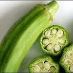 Okra