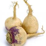 Rutabaga and Turnip 