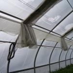 Screen in hoophouse with tight seal at the edges. 