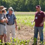 Masoud Hashemi discusses proper way to grow malt barley