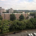 Diversity of trees in the urban forest is important.