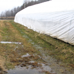 A tunnel on a slightly raised pad with water pooled below.