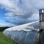 A high tunnel covered with white shade cloth.