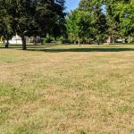 Summer drought stress on lawn.