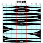 Figure 1.  Availability of plant nutrients by pH level (adapted from University of Georgia).