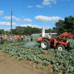 Advancing IPM on Diversified and Organic Farms