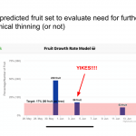 recipe-predicting_fruit_set14