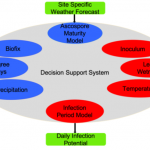 Apple scab infection risk is assessed in a DSS using two different biological models. One, the ascospore maturity model, estimates when spores will be mature and ready to eject. The infection period model estimates, given inoculum in the orchard, when infection will occur. Both of these models rely on a biofix and weather information for risk assessment.