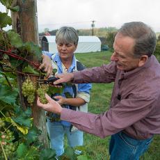 Sonia Schloemann from UMass Extension and Phil Wiley at UMass Cold Spring Orchards
