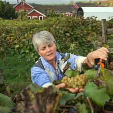 Sonia Schloemann from UMass Extension at UMass Cold Spring Orchards