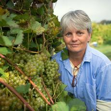 Sonia Schloemann from UMass Extension at UMass Cold Spring Orchards