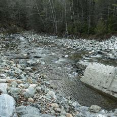 “Riverwalk” Helps Demystify Flood Damage from Hurricane Irene