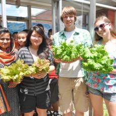 Permaculture Garden Harvest