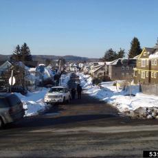 Street in Worcester AFTER the Asian longhorned beetle infestation