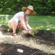 Renaissance Center Gardens-Jennie Bergeron, Head Gardener