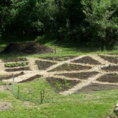 Renaissance Center Gardens-path patterns typical of the era