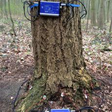 Tomography equipment on tree in Germany