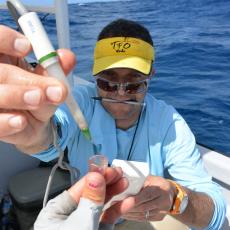 Andy research on ocean fish-Sonya Pask photo