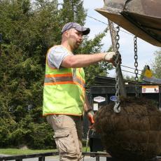 Ben Green is timed as he unloads tree for research project