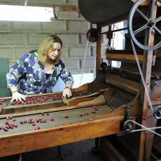 One-hundred year old cranberry separator still used today