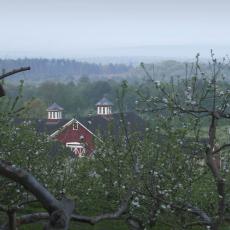 Cold Spring Orchard in the spring