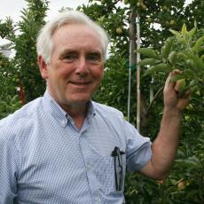 Daniel Cooley checking apples