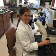 Elisha Allan-Perkins identifies nematodes under microscope