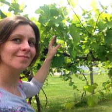 Elsa Petit researching old hardy grapes