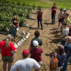 Extension education continues today at Mass Ag Field Day