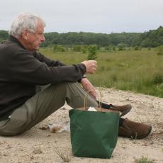 Evan Schulman, former co-owner of Tidmarsh Farm, contemplates wetland restoration efforts