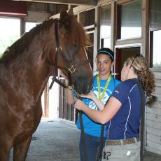 Summer 4-H SET camp students learn equine care