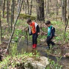 Children explore wetlands and salamanders on Feldman's property, Athol