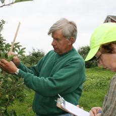 Jim Krupa and Maureen Vezina, CSO assistants, measure branch growth