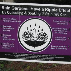 Rain Garden signage (Photo: J. Stacy)