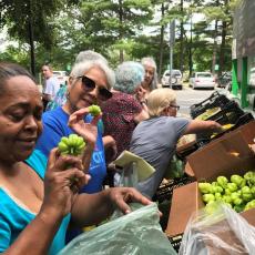 Women choose fresh vegetables right off the mobile market at Saab Court, Springfield